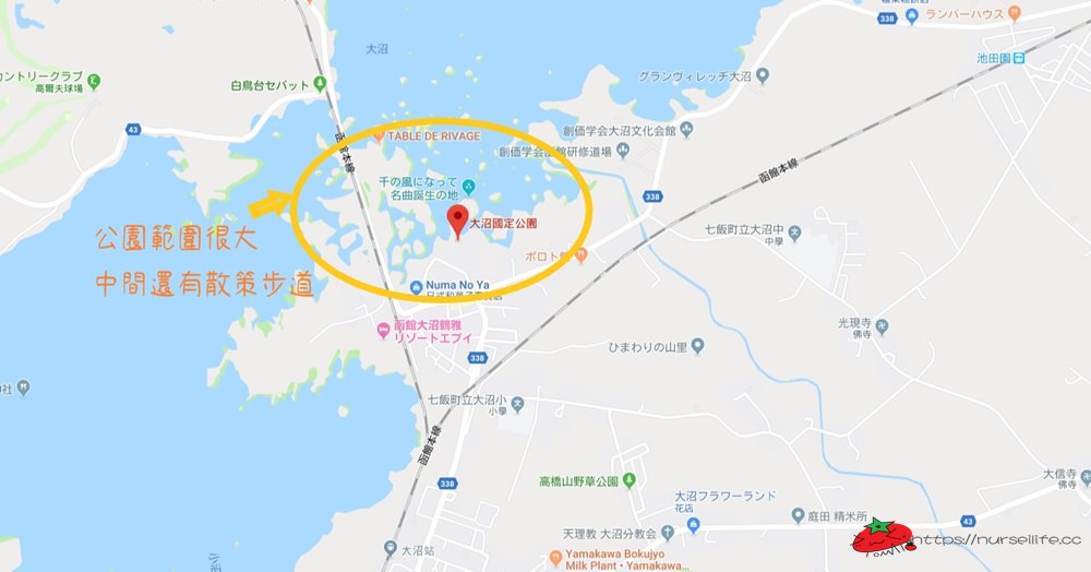 北海道｜大沼國定公園必訪，遊湖步道超長走不完啦！ - nurseilife.cc