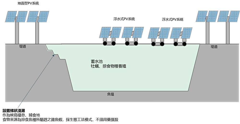 漁電共生：養殖業結合光電所造成的環境傷害與漁民失業？ - nurseilife.cc