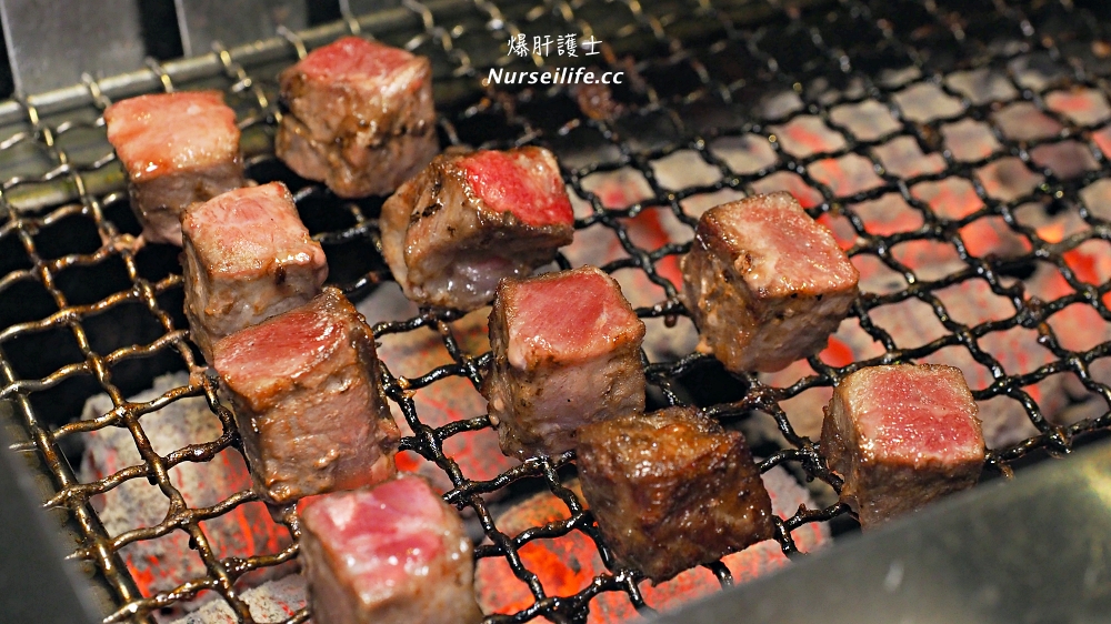 天母天照日式炭火燒肉食堂．不僅燒肉連素食也能吃到飽，甚至連毛小孩也只要150元就能吃到飽！ - nurseilife.cc