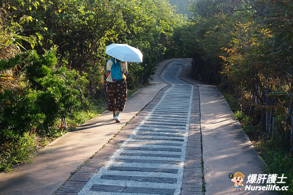 苗栗後龍半天寮好望角、過港隧道、慈雲宮，品在地小吃之旅 - nurseilife.cc