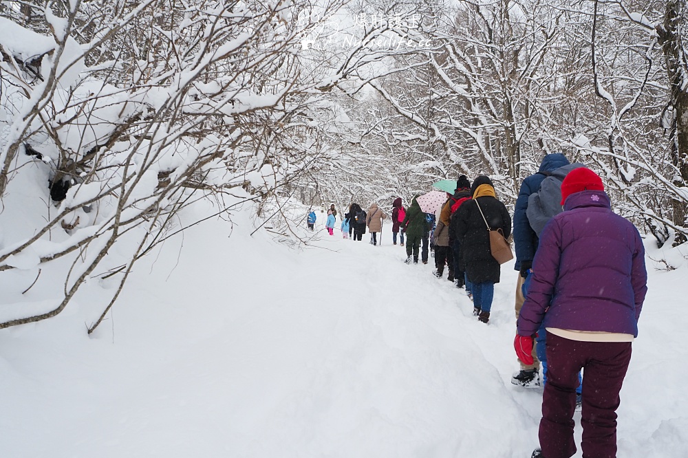 【日本東北】福島五色沼雪中健行、酒造品飲、山形加勢鳥祭典 - nurseilife.cc