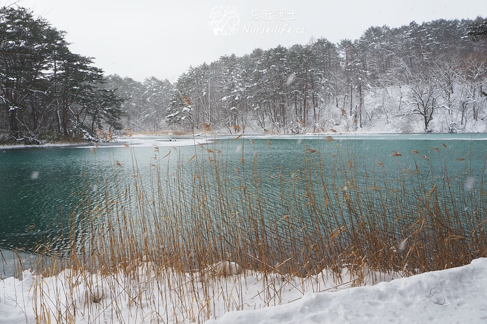 【日本東北】福島五色沼雪中健行、酒造品飲、山形加勢鳥祭典 - nurseilife.cc