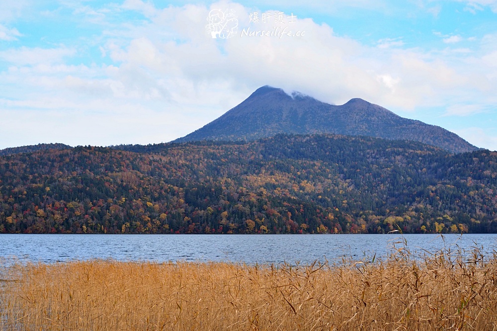 【北海道】十勝一路賞楓玩到阿寒湖 - nurseilife.cc