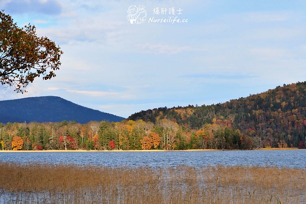 【北海道】十勝一路賞楓玩到阿寒湖 - nurseilife.cc