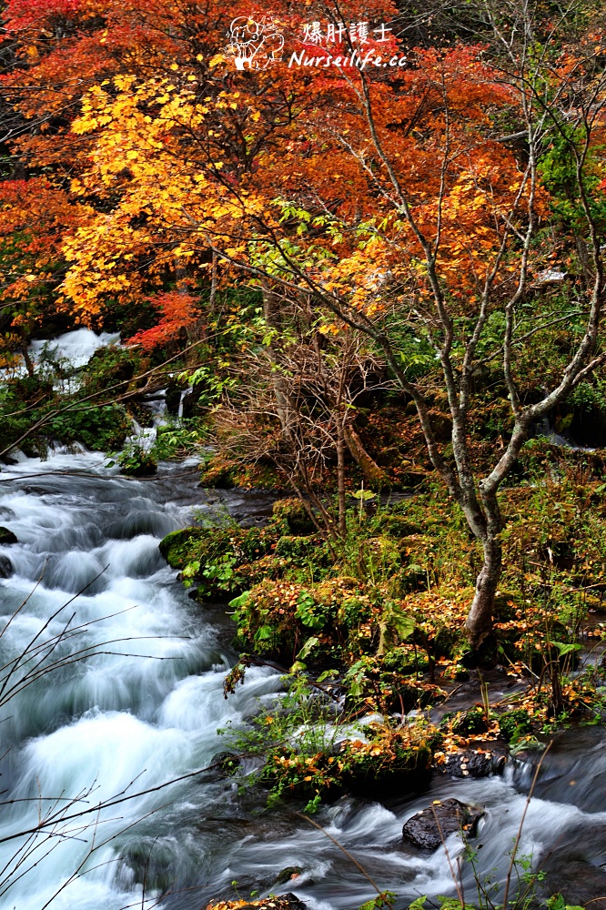 【北海道】十勝一路賞楓玩到阿寒湖 - nurseilife.cc