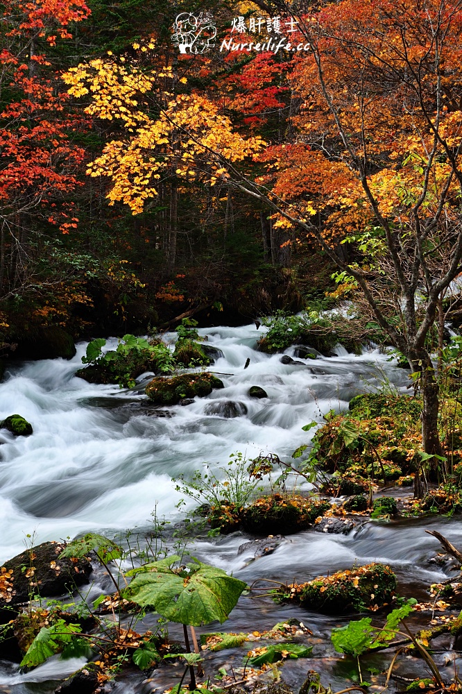 【北海道】十勝一路賞楓玩到阿寒湖 - nurseilife.cc