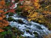 【北海道】十勝一路賞楓玩到阿寒湖