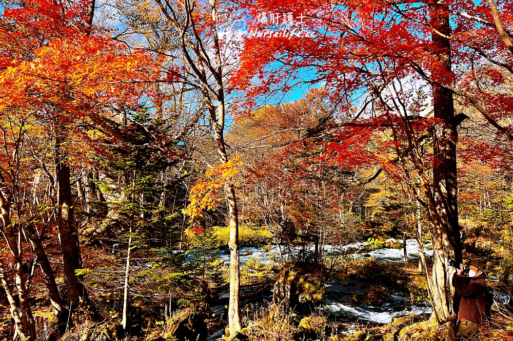 【北海道】摩周湖、能取湖、層雲峽瘋狂大爆走！ - nurseilife.cc