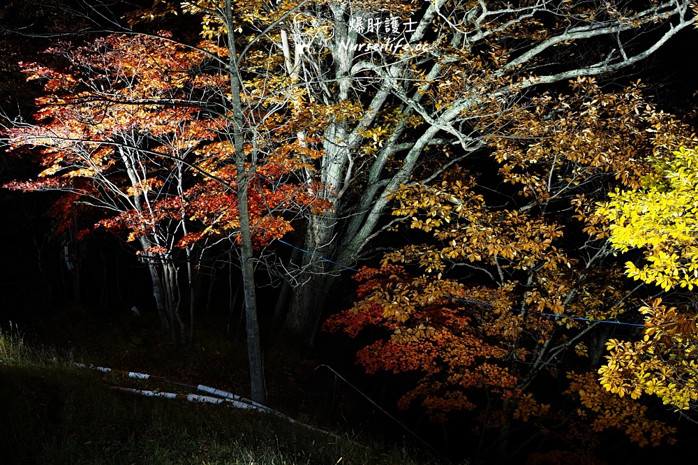 【北海道】摩周湖、能取湖、層雲峽瘋狂大爆走！ - nurseilife.cc