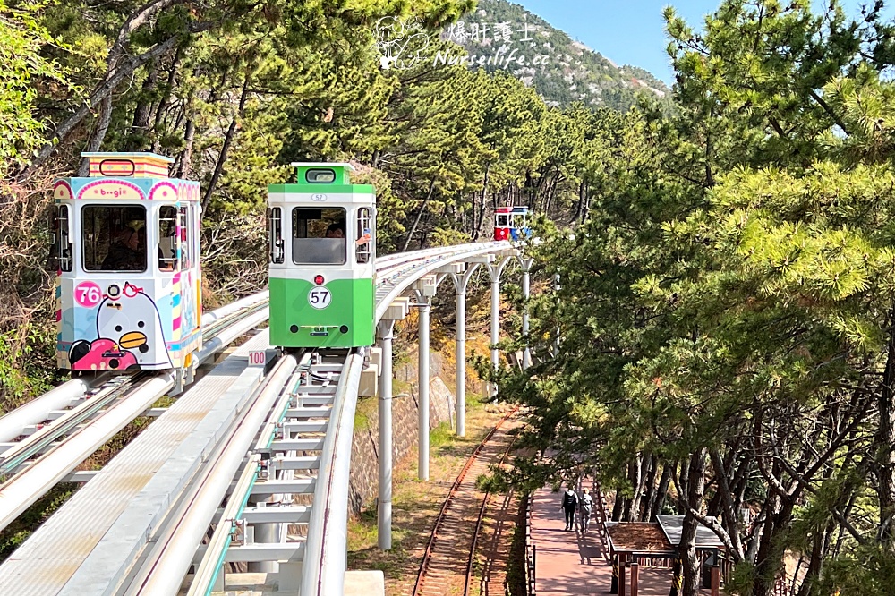 【釜山賞櫻】南川洞櫻花路、海雲台膠囊列車、水營江包船夜遊 - nurseilife.cc