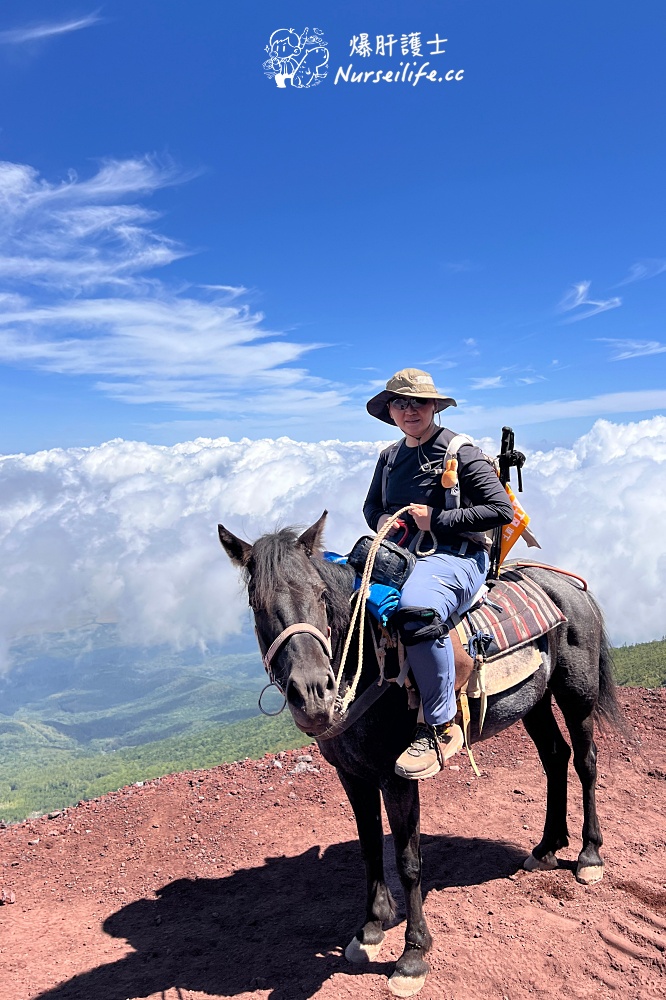 那一年去爬了富士山，還有川越、迪士尼！ - nurseilife.cc