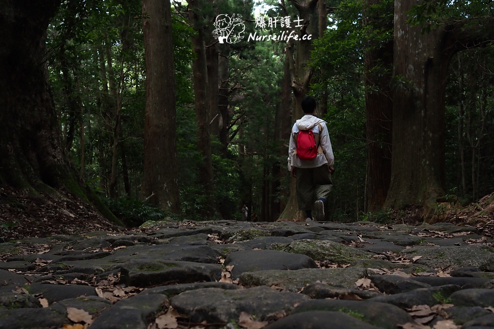 和歌山｜住廟、健行、泡湯、梅酒製作體驗 - nurseilife.cc