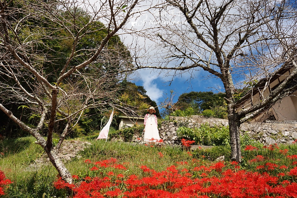 岡山《森之藝術祭》滿奇洞：來一趟地府之旅 - nurseilife.cc