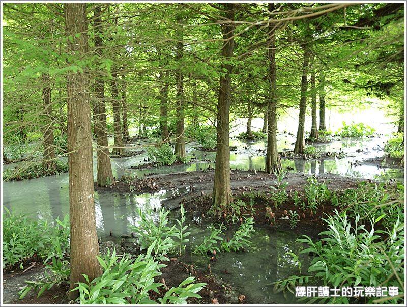 【花蓮景點】雲山水 有雲、有山、有水、有小黑蚊! - nurseilife.cc