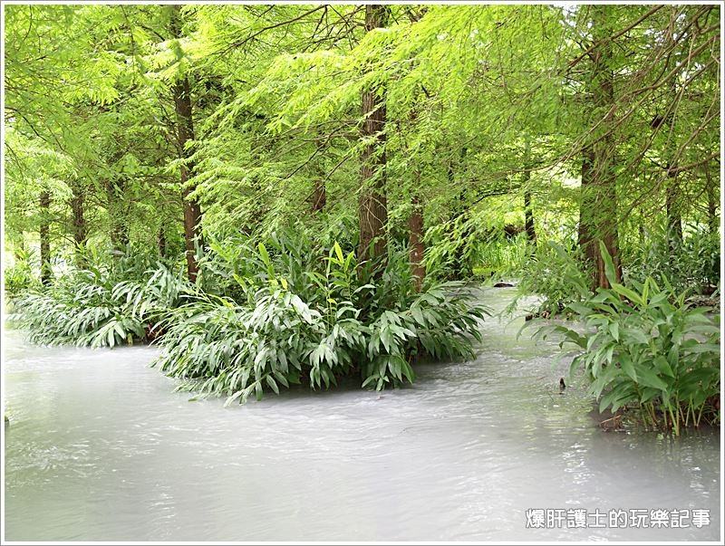 【花蓮景點】雲山水 有雲、有山、有水、有小黑蚊! - nurseilife.cc