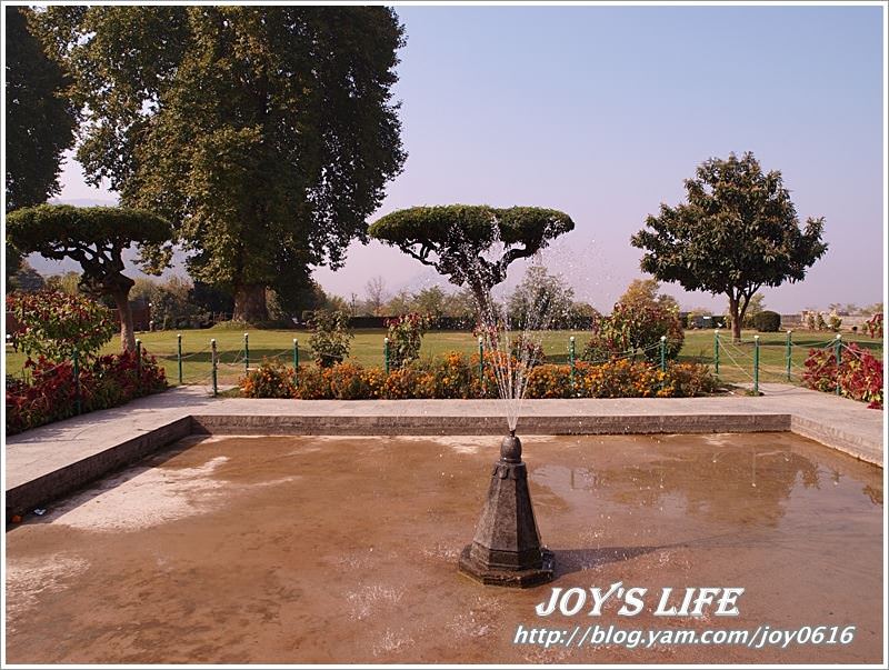 【印度】Mughal Garden Cheshmashahie - nurseilife.cc