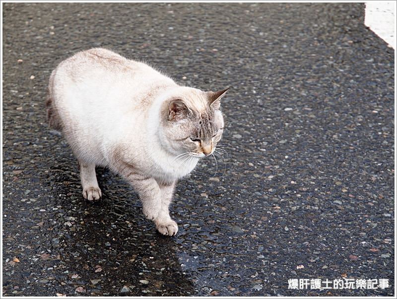 【日本】雪の鳥取砂丘 隱藏在砂洲的愛心 只有戀人才看的到的求婚密碼 - nurseilife.cc