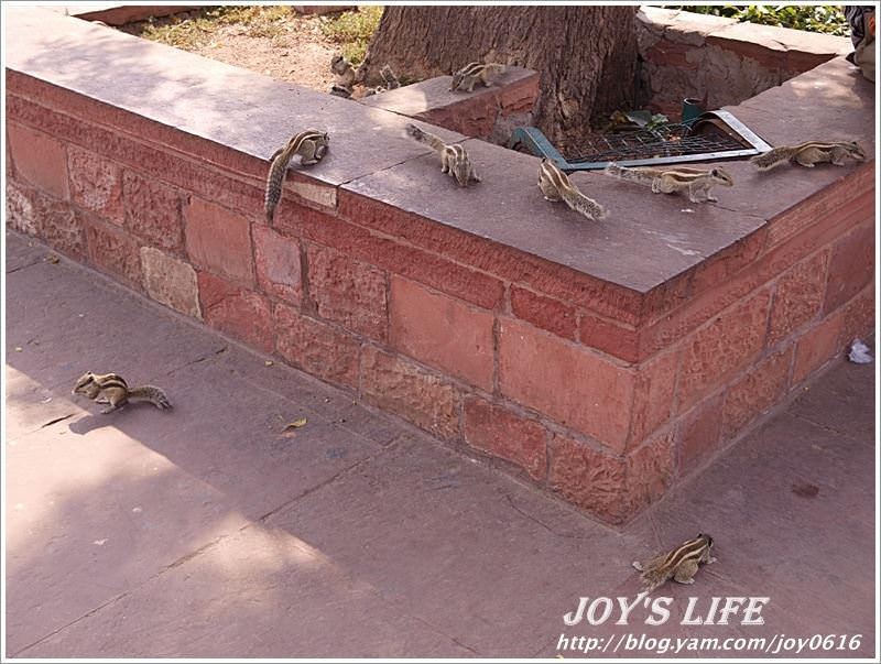 【印度】Agra Fort 阿格拉堡<世界文化遺產> - nurseilife.cc