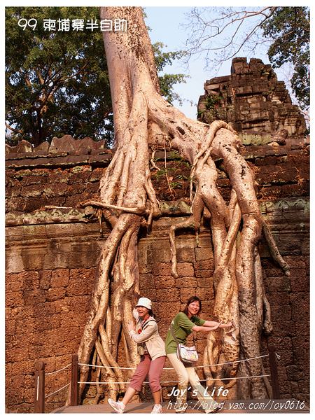 【Angkor】Ta Prohm 塔普倫寺 - nurseilife.cc