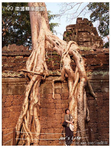 【Angkor】Ta Prohm 塔普倫寺 - nurseilife.cc