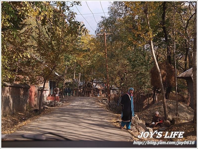 【印度】前往渡假勝地Pahalgam,途經番紅花產地喝番紅花茶~ - nurseilife.cc