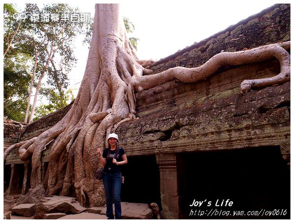 【Angkor】Ta Prohm 塔普倫寺 - nurseilife.cc