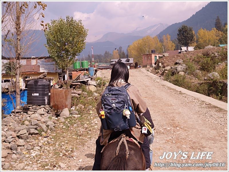 【印度】Pahalgam騎馬趣Kashmir Valley篇 - nurseilife.cc