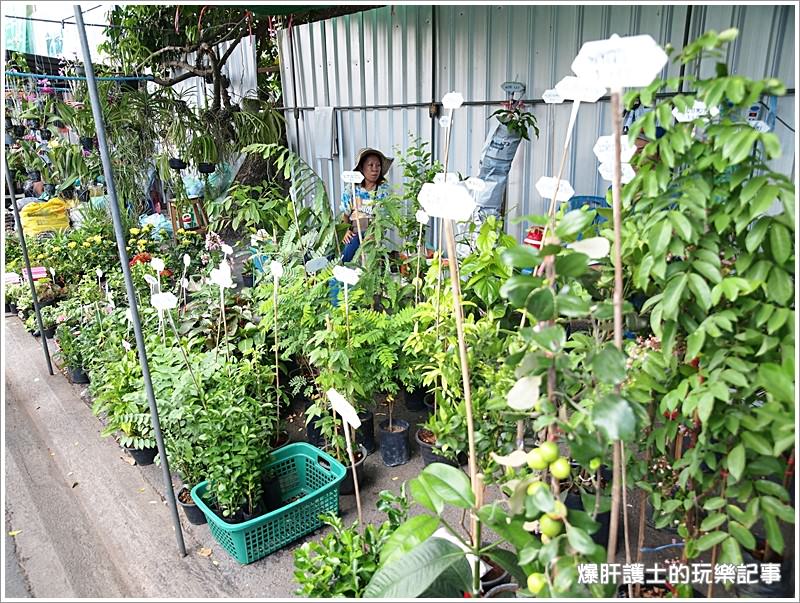 【曼谷自助】逛市集、吃海鮮、遊船餵魚好恐怖 大林江水上市場Taling Chan Floating Market - nurseilife.cc