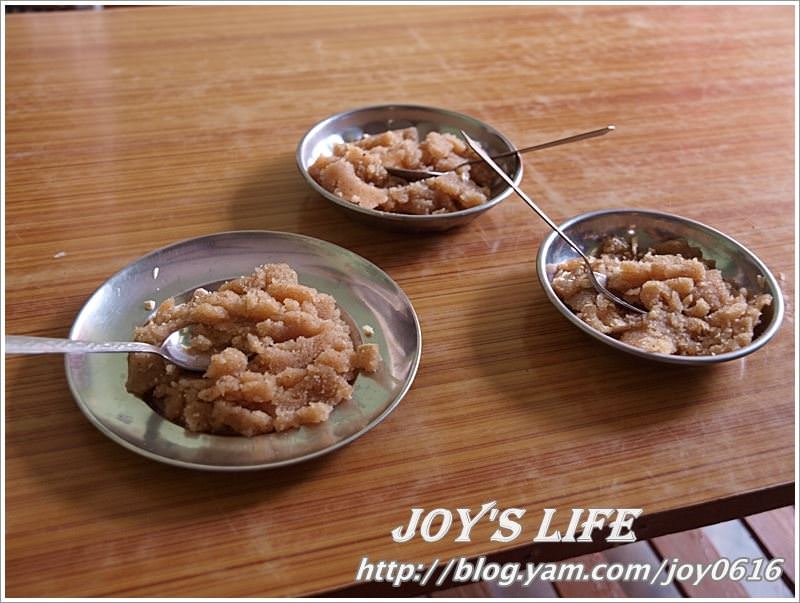 【印度】超級體驗!!Jaipur→Sanjay's Home，來去印度人家做客~ - nurseilife.cc