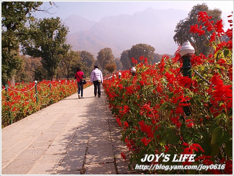 【印度】Mughal Garden Nishat 最有名的花園 - nurseilife.cc