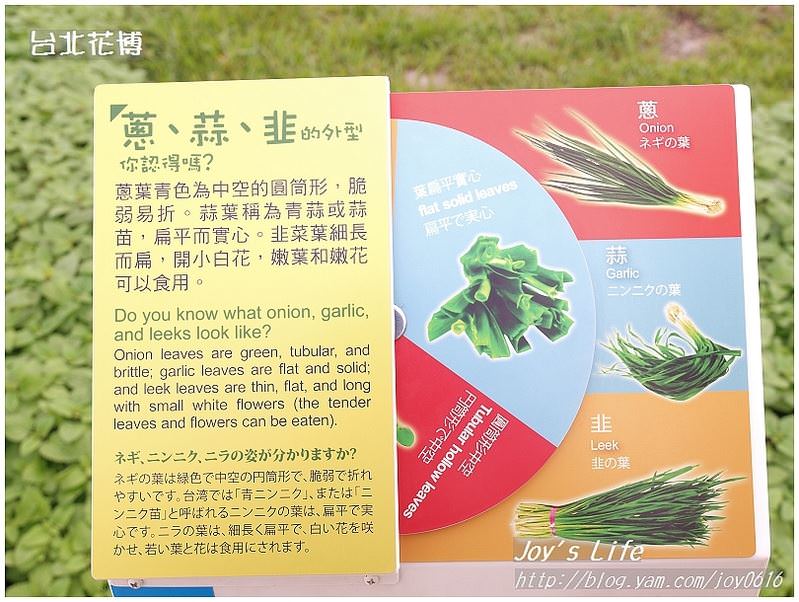 【台北】花博蔬果饗宴&花圃競賽區 - nurseilife.cc