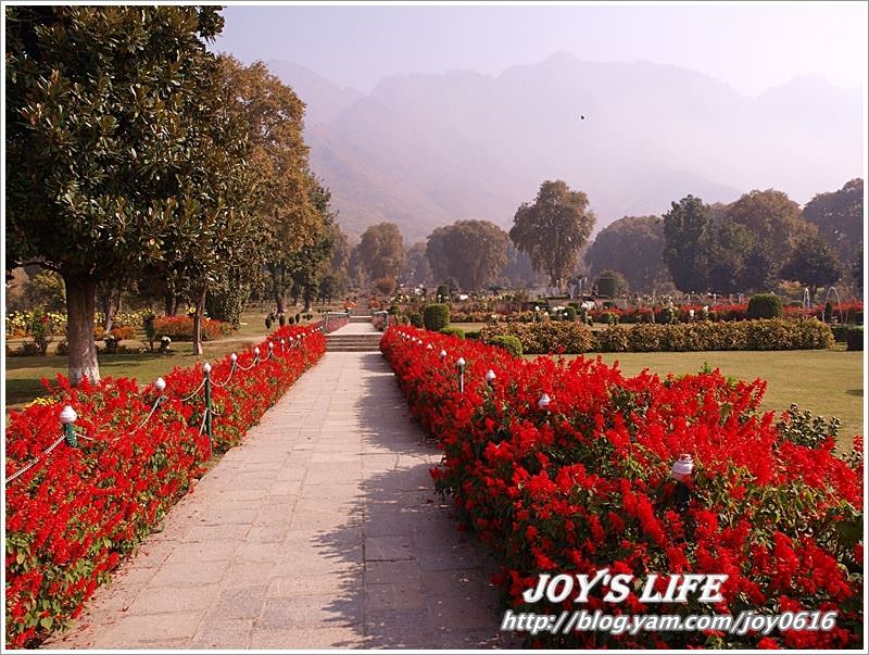 【印度】Mughal Garden Nishat 最有名的花園 - nurseilife.cc