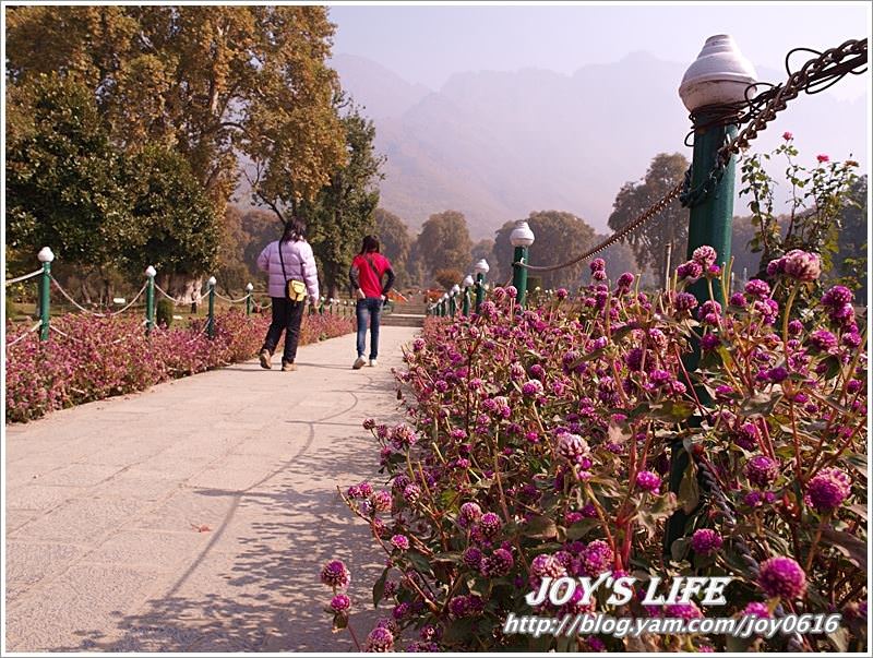 【印度】Mughal Garden Nishat 最有名的花園 - nurseilife.cc