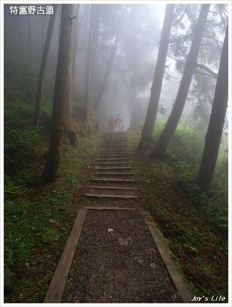 【嘉義阿里山】迷霧‧特富野古道 - nurseilife.cc