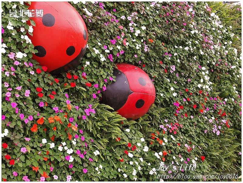 【台北】花博蔬果饗宴&花圃競賽區 - nurseilife.cc