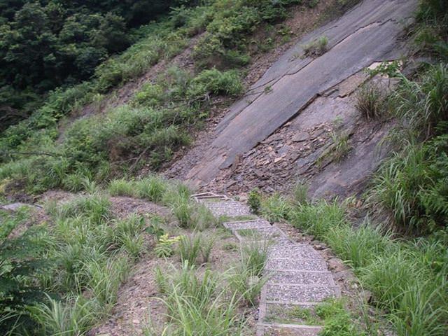 貂山古道+大粗坑步道--尋找一段淒美的傳說~ - nurseilife.cc