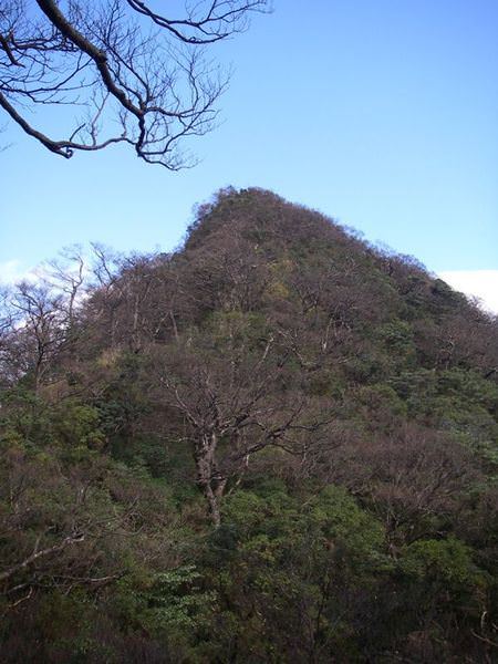 北插天山--探訪山毛櫸的故鄉 - nurseilife.cc