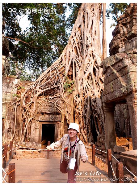 【Angkor】Ta Prohm 塔普倫寺 - nurseilife.cc