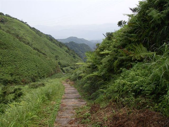 貂山古道+大粗坑步道--尋找一段淒美的傳說~ - nurseilife.cc