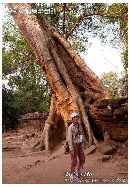 【Angkor】Ta Prohm 塔普倫寺 - nurseilife.cc