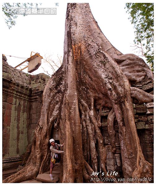 【Angkor】Ta Prohm 塔普倫寺 - nurseilife.cc