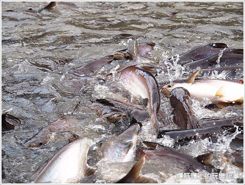 【曼谷自助】逛市集、吃海鮮、遊船餵魚好恐怖 大林江水上市場Taling Chan Floating Market - nurseilife.cc