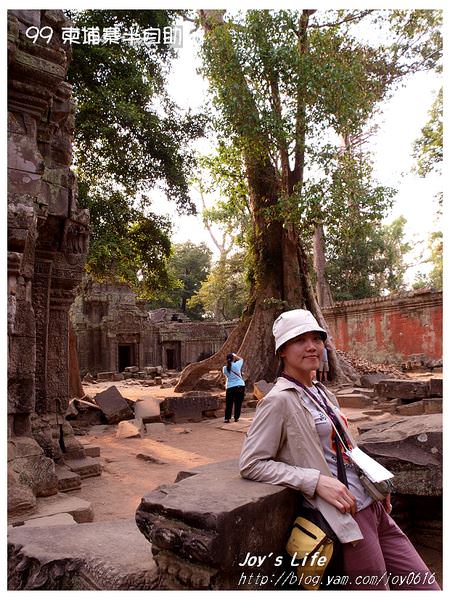 【Angkor】Ta Prohm 塔普倫寺 - nurseilife.cc