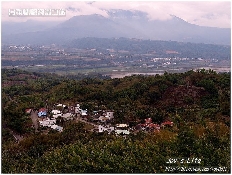 【台東鹿野】森林博物館-會走路的樹 - nurseilife.cc