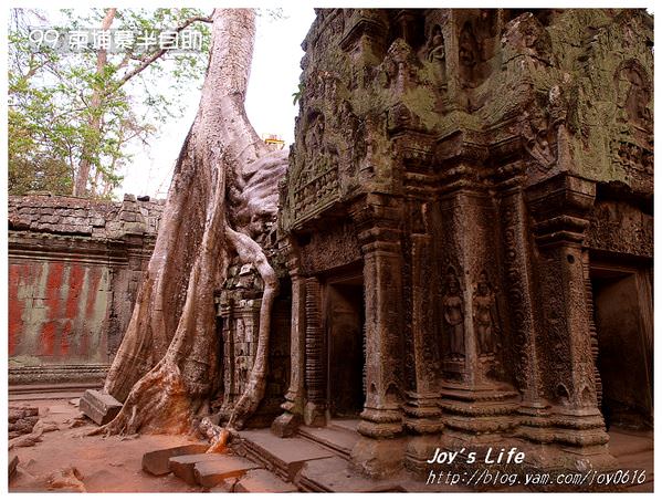 【Angkor】Ta Prohm 塔普倫寺 - nurseilife.cc