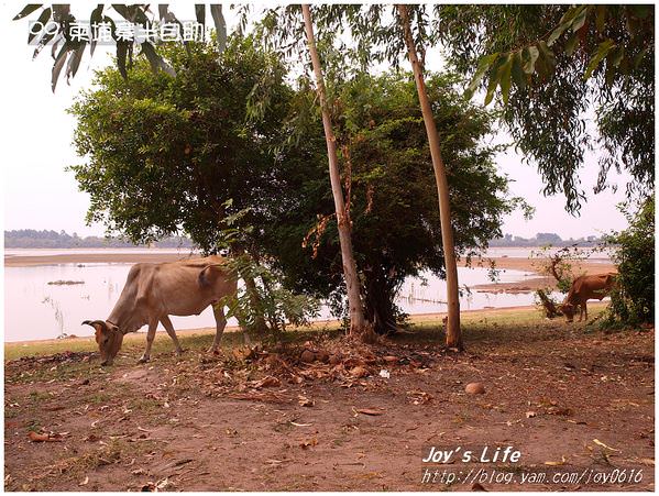 【暹粒】西美蓬寺West Mebon│被遺忘的古蹟 - nurseilife.cc