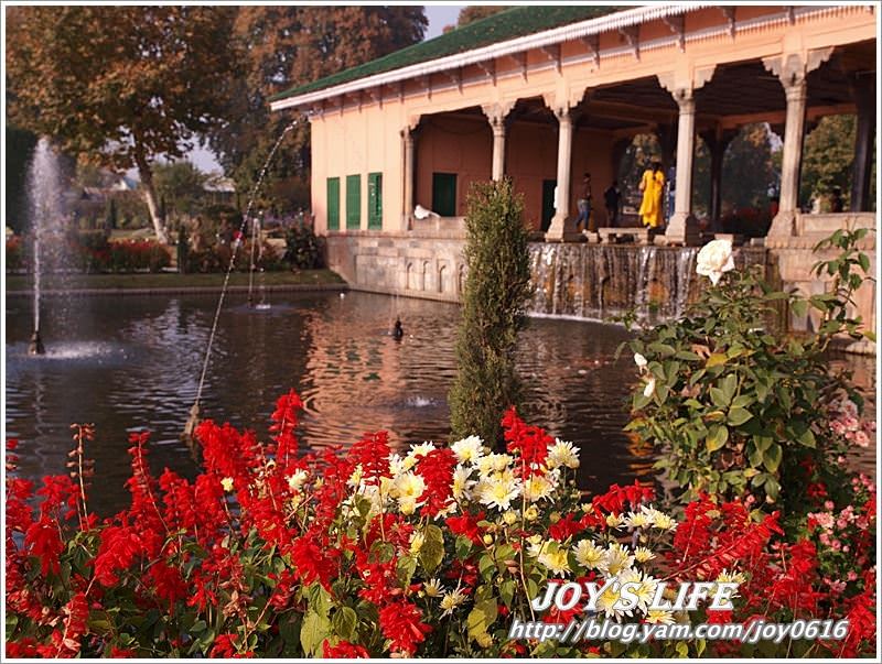 【印度】Heritage Mughal Garden Shalimar - nurseilife.cc