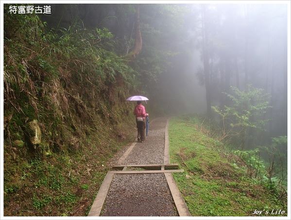 【嘉義阿里山】迷霧‧特富野古道 - nurseilife.cc