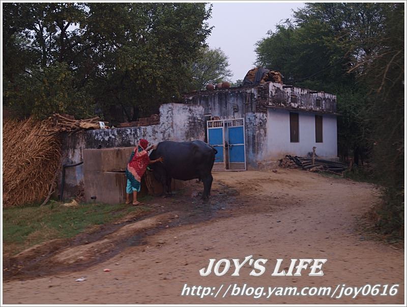 【印度】超級體驗!!Jaipur→Sanjay's Home，來去印度人家做客~ - nurseilife.cc