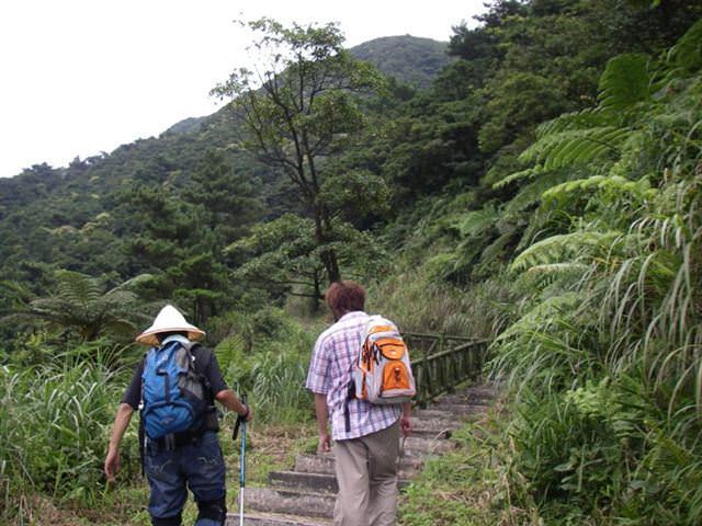 貂山古道+大粗坑步道--尋找一段淒美的傳說~ - nurseilife.cc